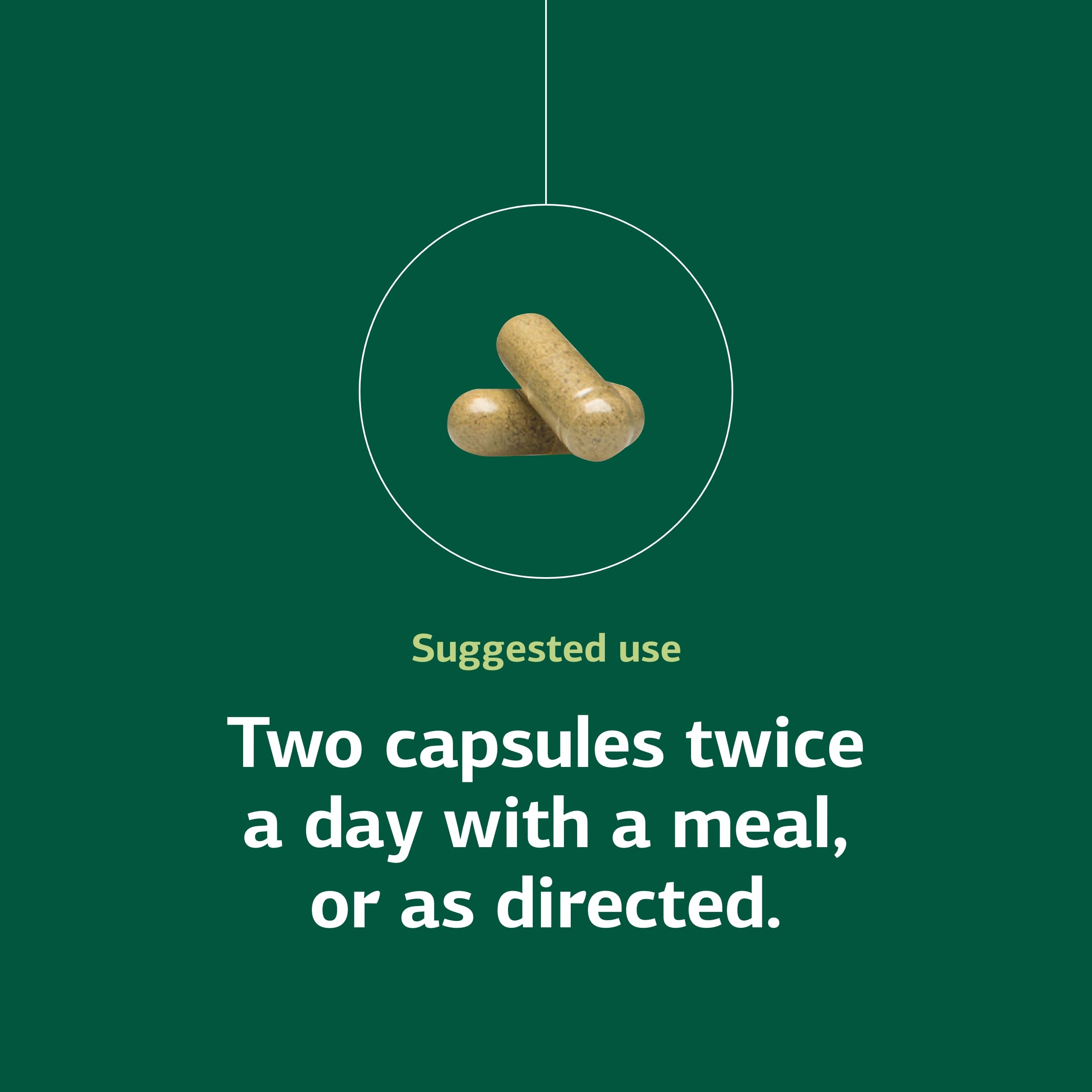 Standard Process Diaplex - Supplement for Pancreas & Gallbladder Support - Contains Chromium & Antioxidant Vitamin A