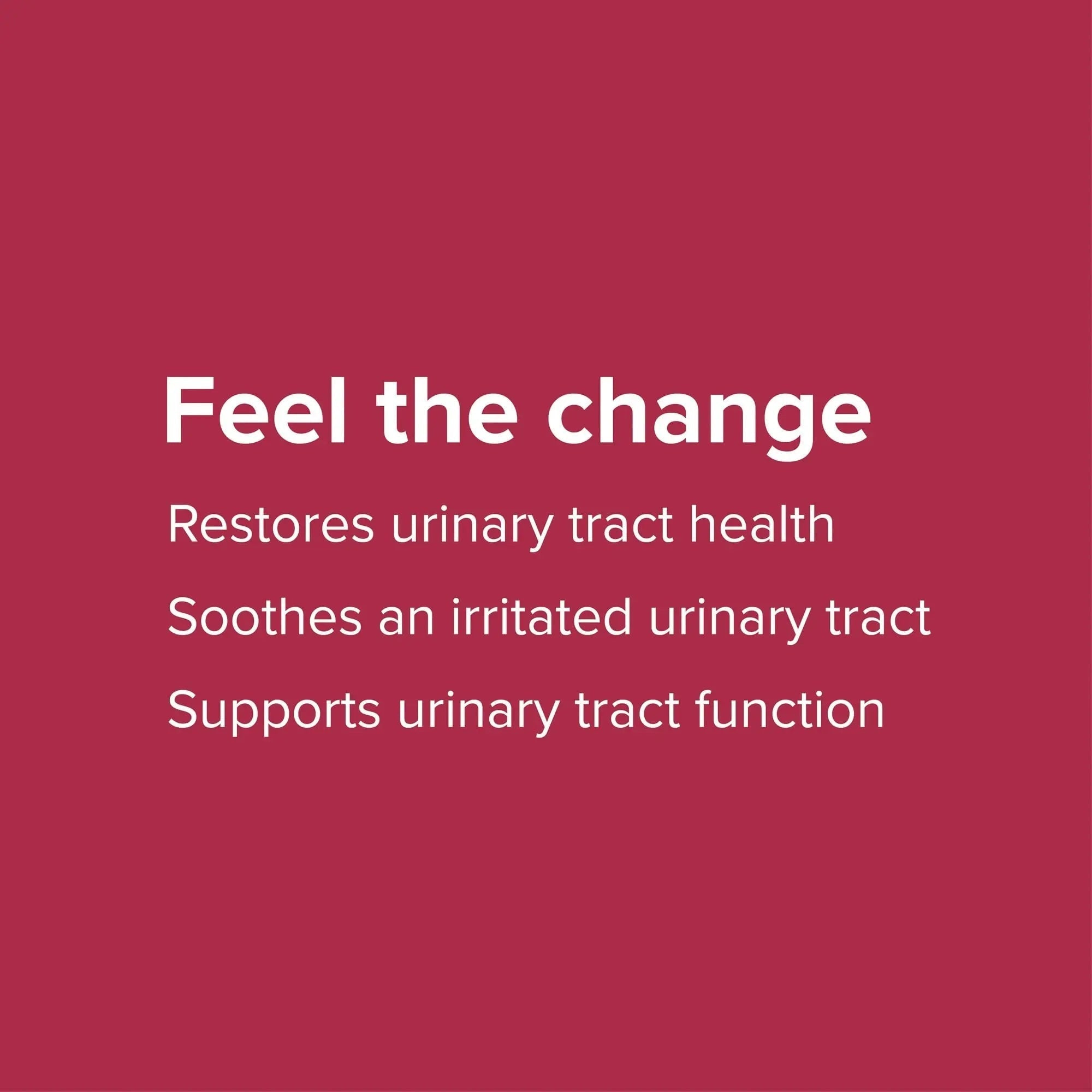 Vibrant Health, U.T. Vibrance Powder, Crisis Intervention for Urinary Tract Health, 10 Servings Vibrant HealthBuy Supplements Australia