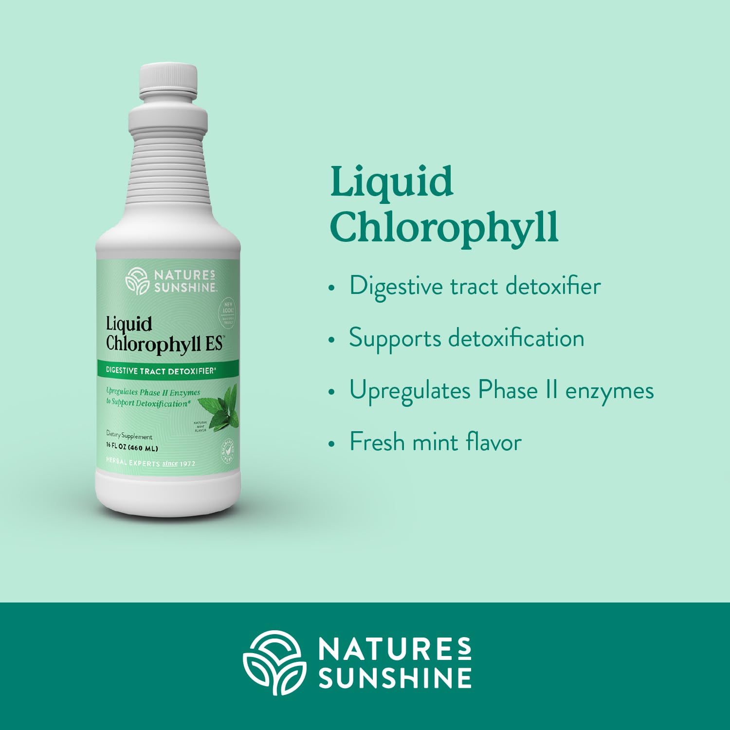 Nature's Sunshine Liquid Chlorophyll Extra Strength - Immunity Support, Detox & Cleanse, Chlorophyll Liquid Drops with Spearmint Oil,