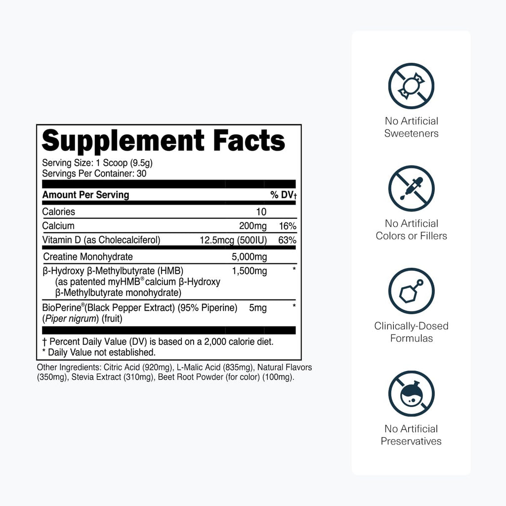 Transparent Labs Creatine HMB - Creatine Monohydrate Powder with HMB for Muscle Growth, Increased Strength, Enhanced Energy Output, and Improved Athletic Performance