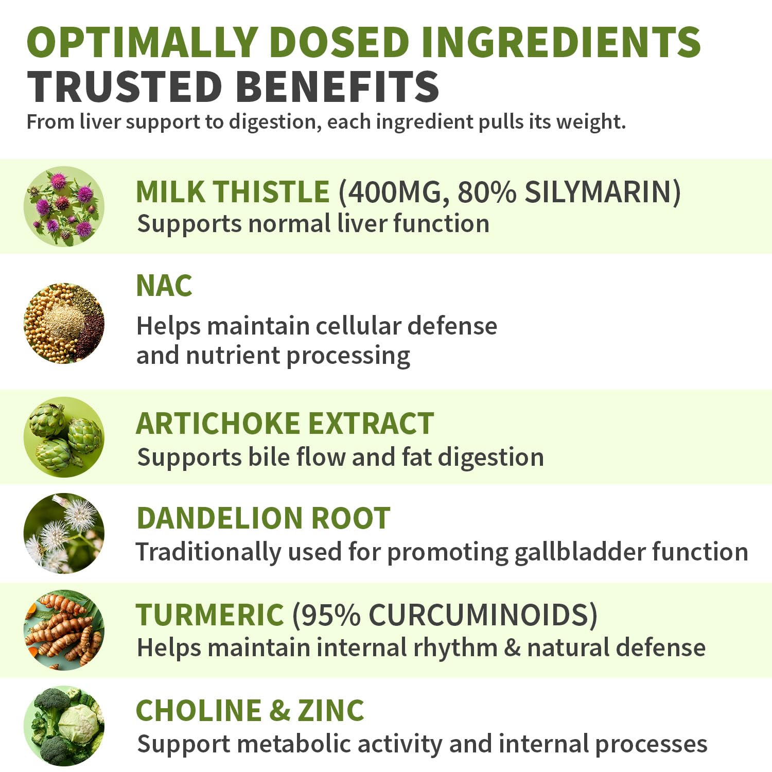 Milk Thistle Supplement w/ NAC, Artichoke & Dandelion – Liver Support Supplement & Gallbladder Supplements in One – Liver Detox – Milk Thistle