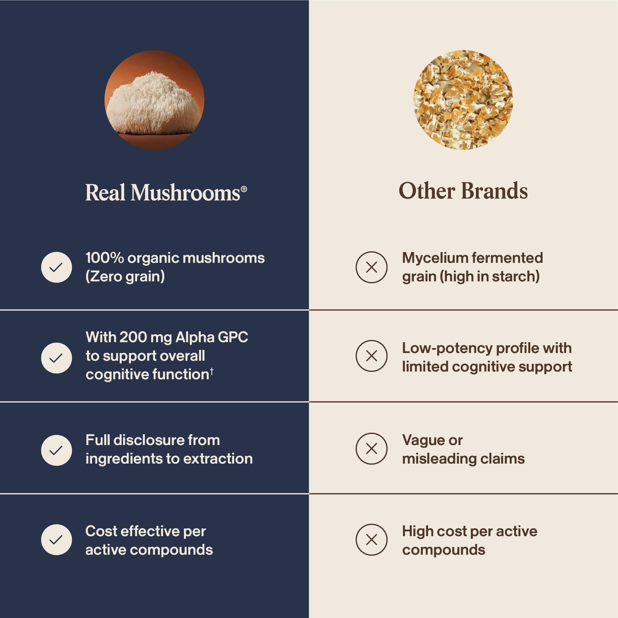 Real Mushrooms Lion’s Mane Focus Capsules (90 Count) – Organic Lions Mane Fruiting Body Extracts with 200mg Alpha GPC Choline