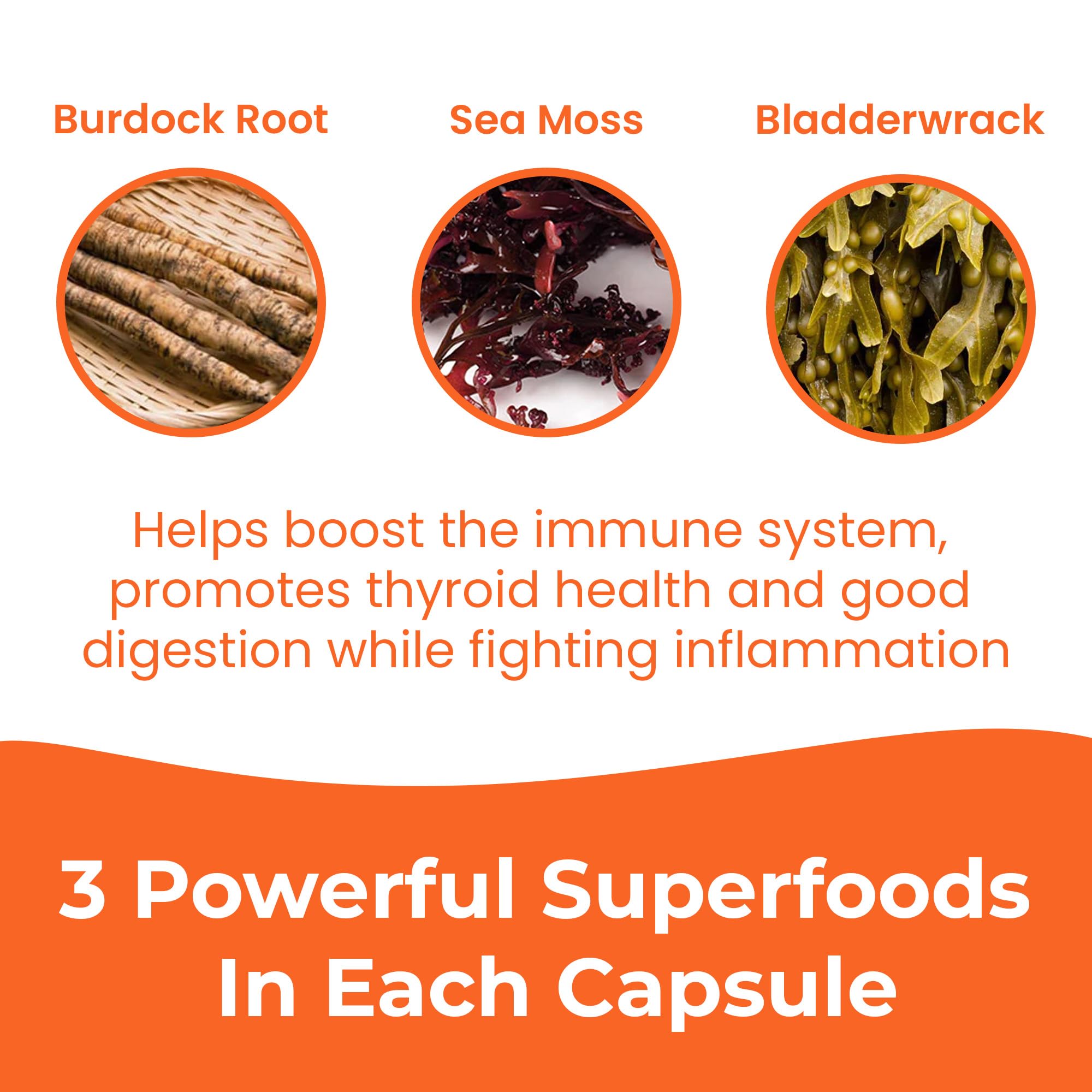 INFINITE AGE 1250mg Sea Moss Advanced Superfood Capsules, 60 Count - High-Potency, Vegan, Made in The USA - Irish Seamoss, Bladderwrack, Burdock Root - Overall Health, Immunity Support INFINITE AGEBuy Supplements Australia
