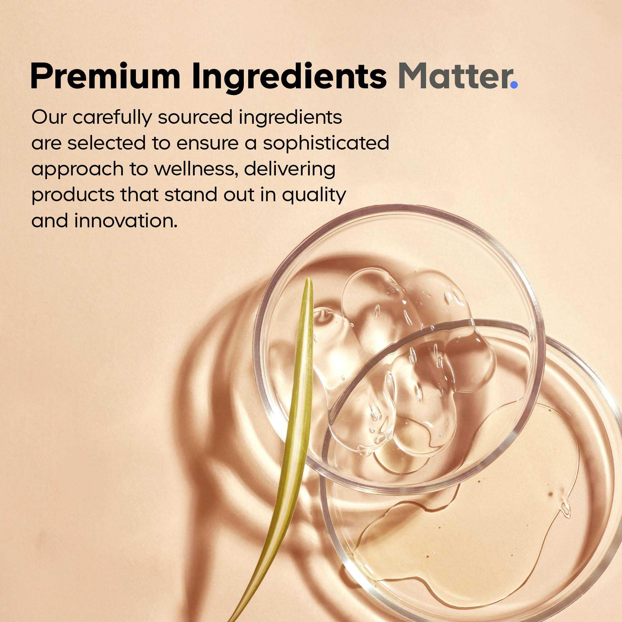 Codeage Akkermansia Muciniphila Probiotic Ultra - High-Potency 500M AFUs Akkermansia Probiotic Supplement - Enhanced Daily Probiotic & Prebiotic, Chicory Inulin - 3-Month Supply - 90 Capsules CodeageBuy Supplements Australia
