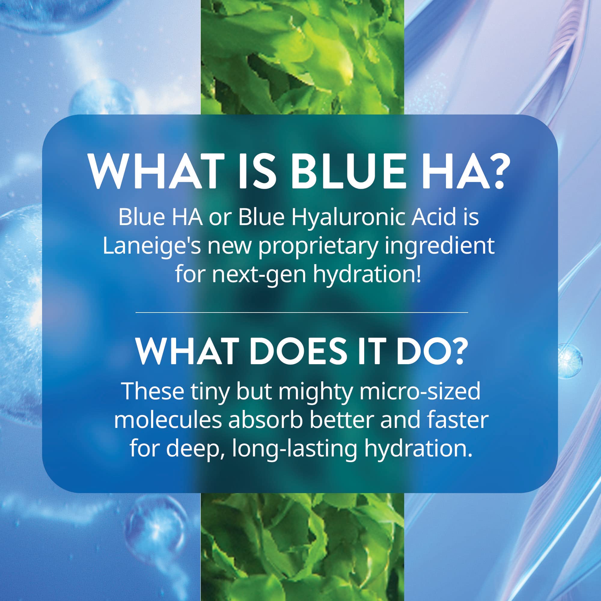 LANEIGE Water Bank Blue Hyaluronic Serum: Hydrating Face Serum with Peptide & Green Tea Enzyme to Improve Skin Firmness & Radiance