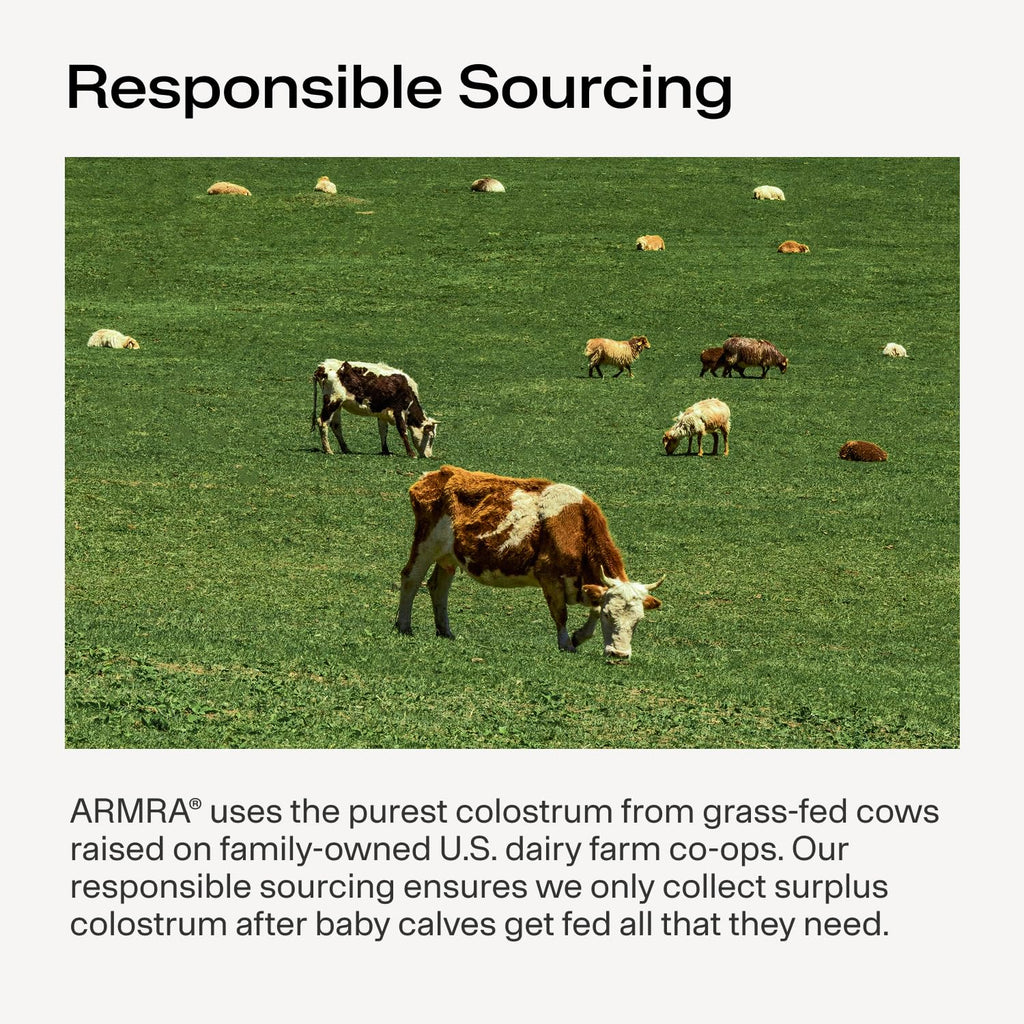 ARMRA Colostrum Powder | Arctic Chai | Gut Health & Bloating | Skin & Hair | Immunity | Keto, Gluten & Fat-Free | 30 Servings