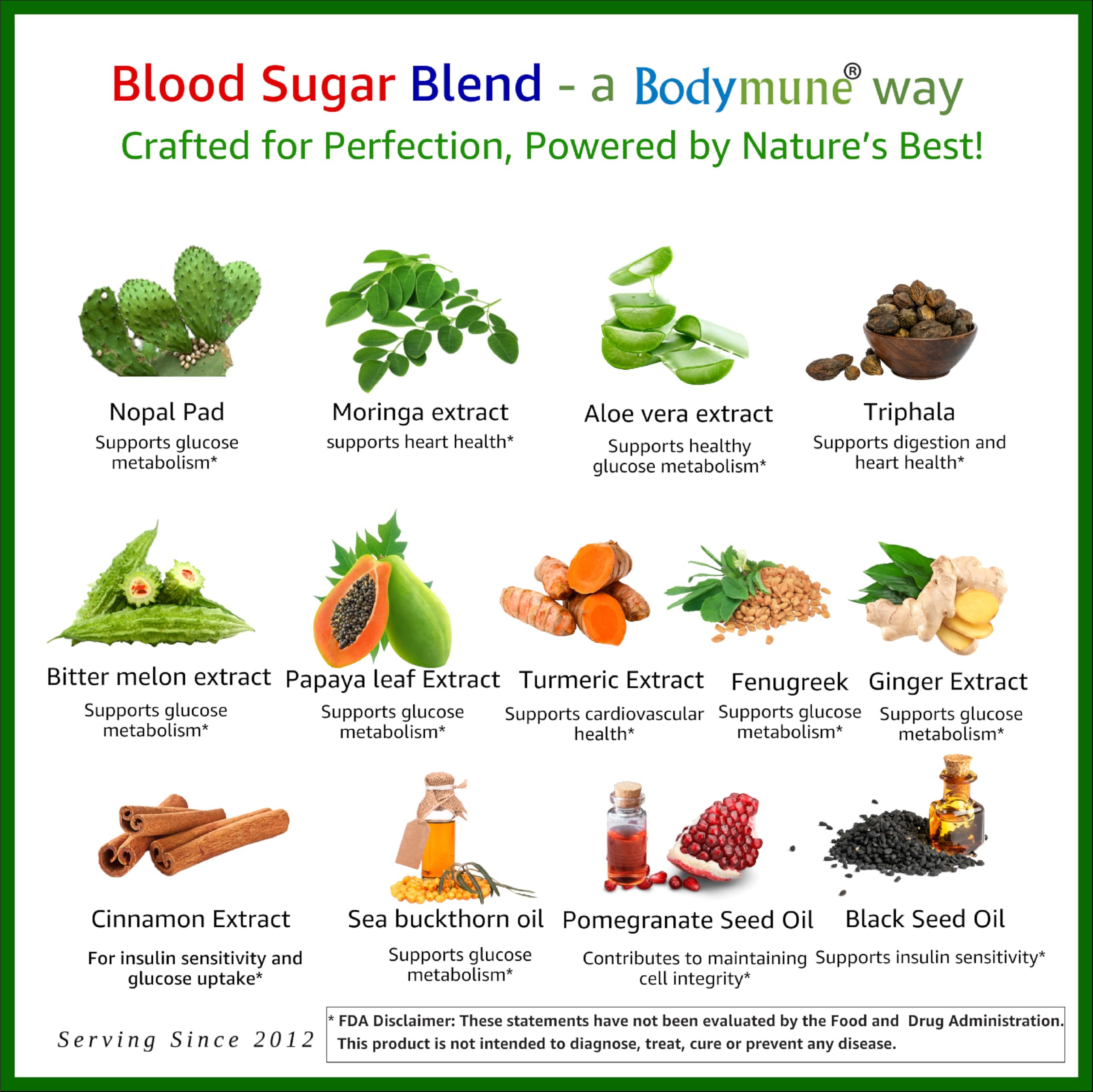 Bodymune Blood Sugar Blend – Organic Blood Sugar Support Supplement – with Bitter Melon Capsules, Moringa, & Black Seed Oil – 33 Capsules