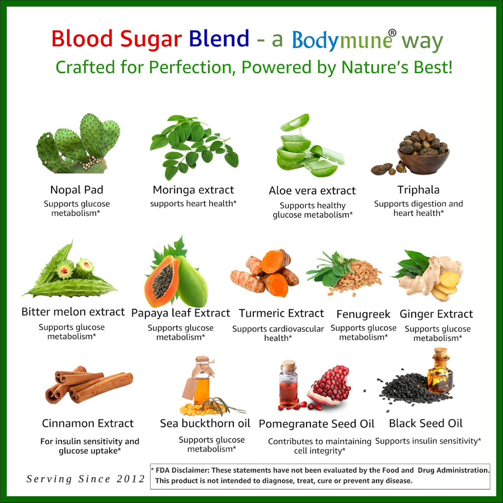 Bodymune Blood Sugar Blend – Organic Blood Sugar Support Supplement – with Bitter Melon Capsules, Moringa, & Black Seed Oil – 66 Capsules
