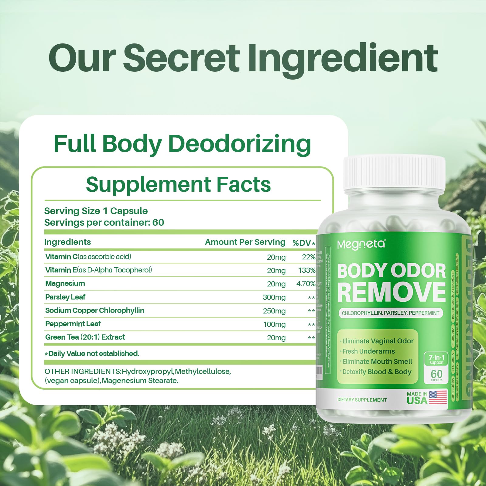 MEGNETA Body Deodorizing Supplement, Natural Internal Odor Control Pills for Men & Women, Chlorophyll Capsules for Skin, Breath and Gut Health (60 Capsules)
