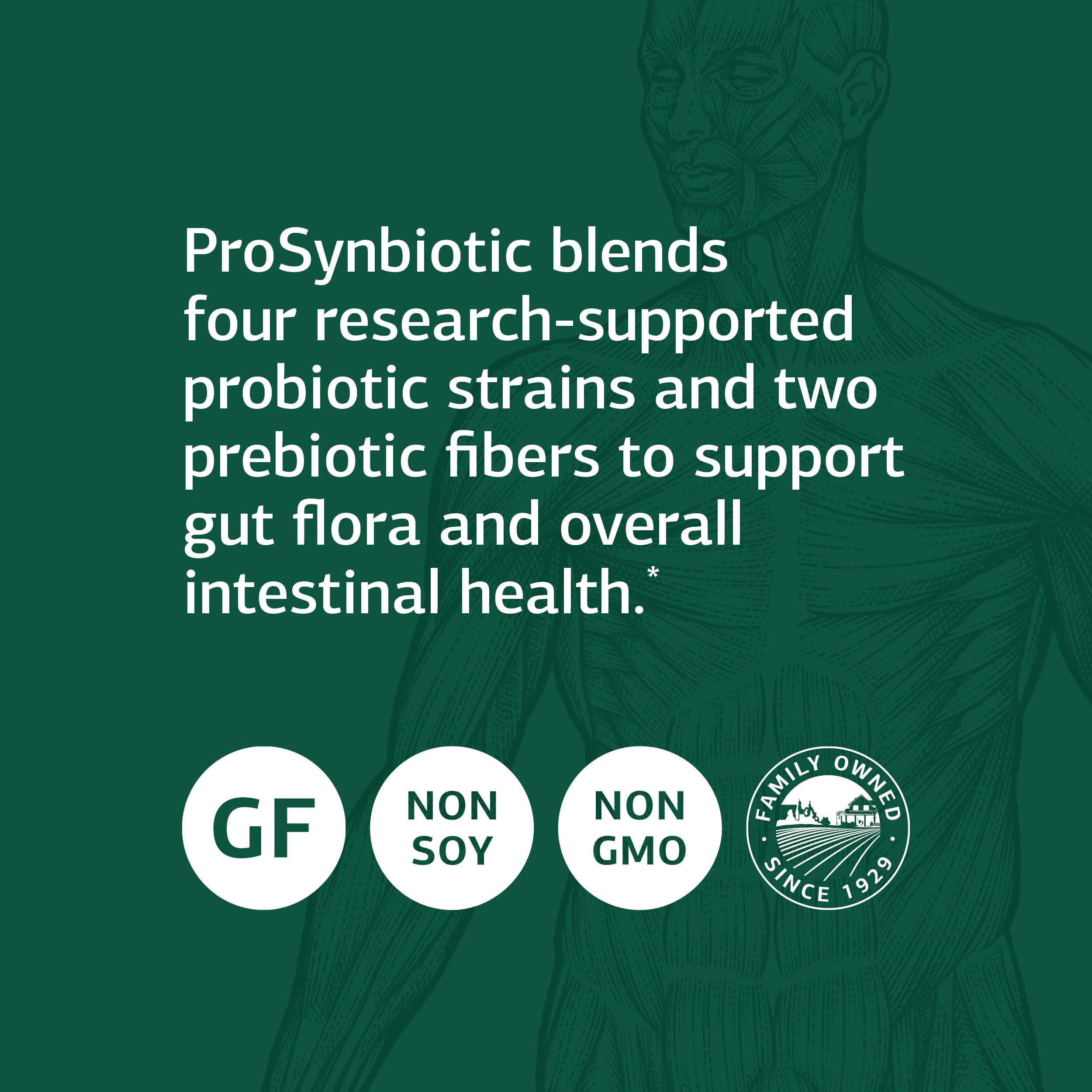 Standard Process ProSynbiotic - Whole Food Bowel, Immune Support, Digestion and Digestive Health with Bifidobacterium, Chicory Root, Lactobacillus Acidophilus, and Inulin - Vegetarian - 90 Capsules Standard Process Inc. buy supplements Au