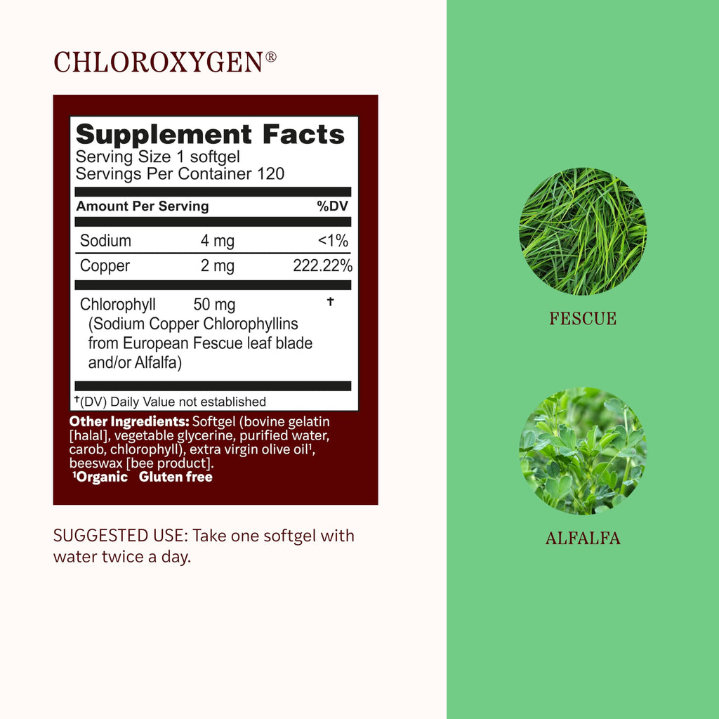 Herbs Etc. ChlorOxygen Chlorophyll Concentrate Softgels - High-Potency Chlorophyll for Detoxification Support - Deodorizing - Skin, Gut
