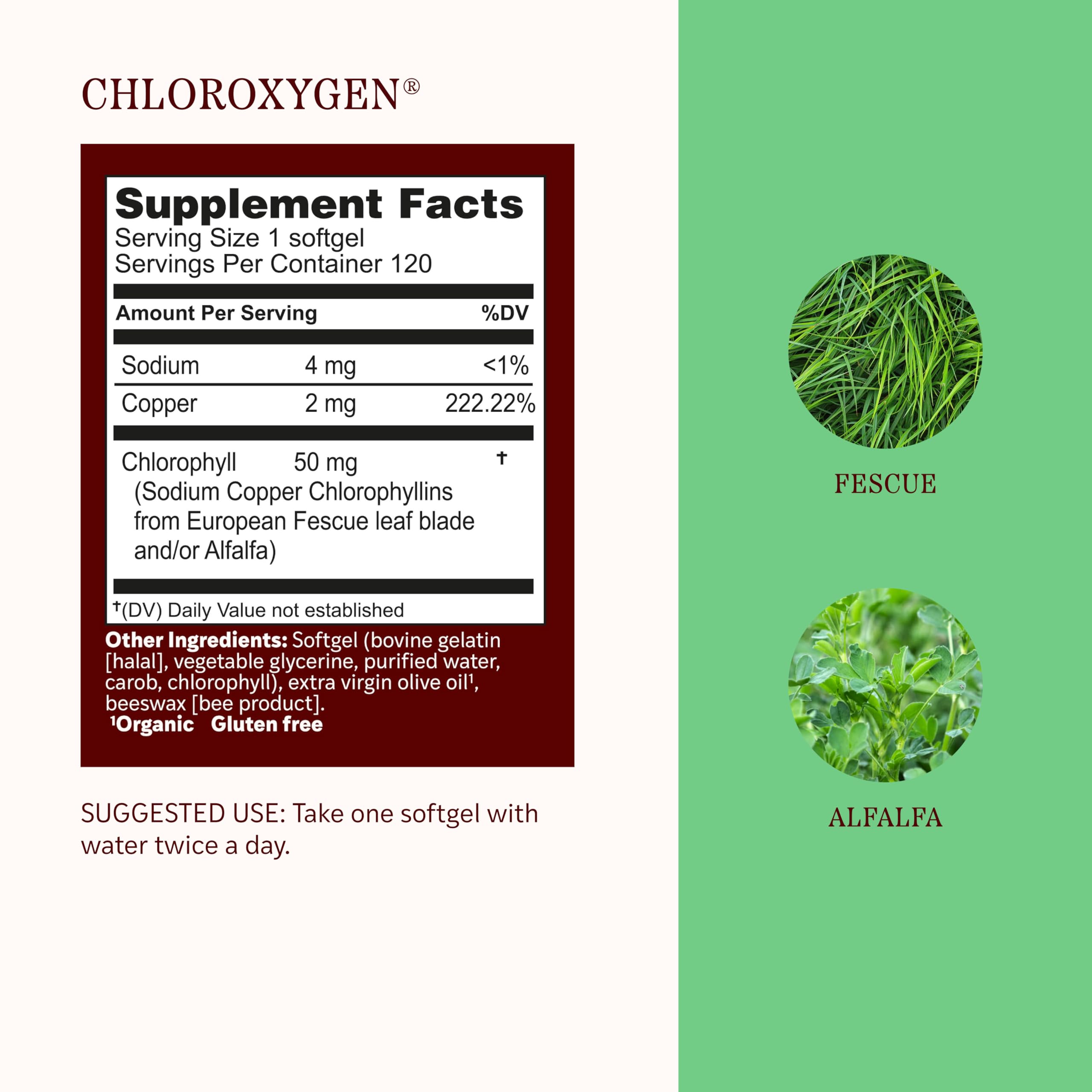 Herbs Etc. ChlorOxygen Chlorophyll Concentrate Softgels - High-Potency Chlorophyll for Detoxification Support - Deodorizing - Skin, Gut