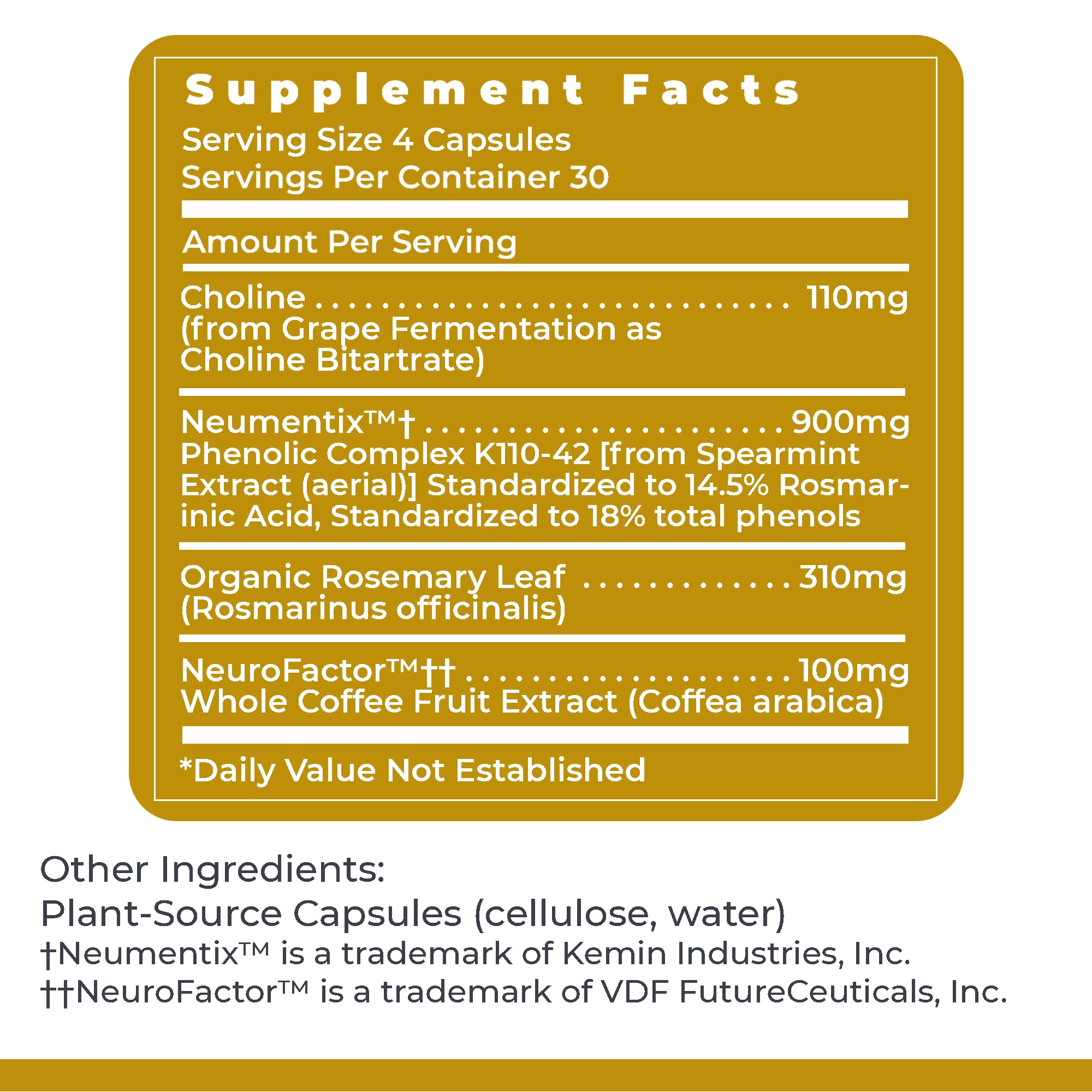 Premier Research Labs Cognitropic - Brain Supplements for Memory and Focus, Focus Supplement, Brain and Memory Power Boost, Clarity Vitamins for Brain, Memory Support - 120 Vegetarian Capsules Premier Research LabsBuy Supplements Australia