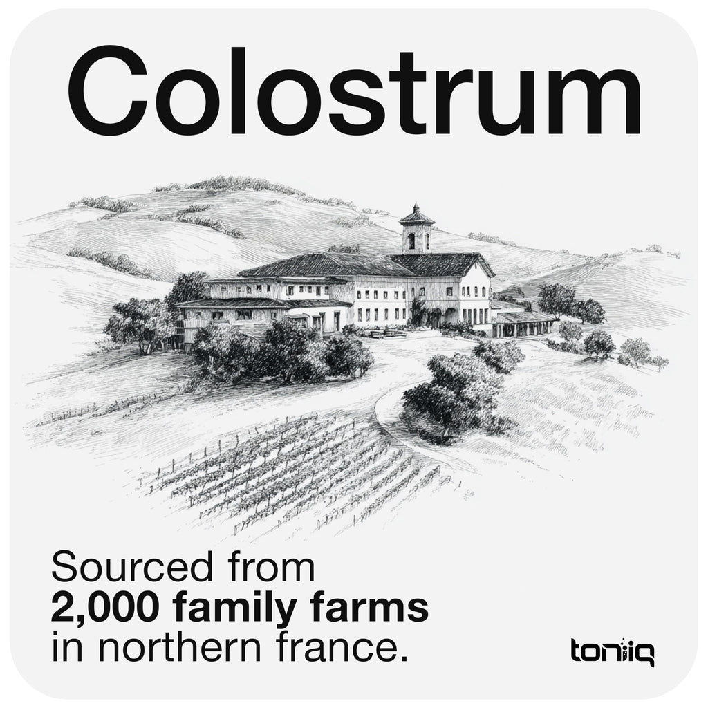 Toniiq Bovine Colostrum Powder Supplement 2000mg - 50% IgG for Gut Health, Immune Support & Skin - French Colostrum Farm-to-Jar Traceable