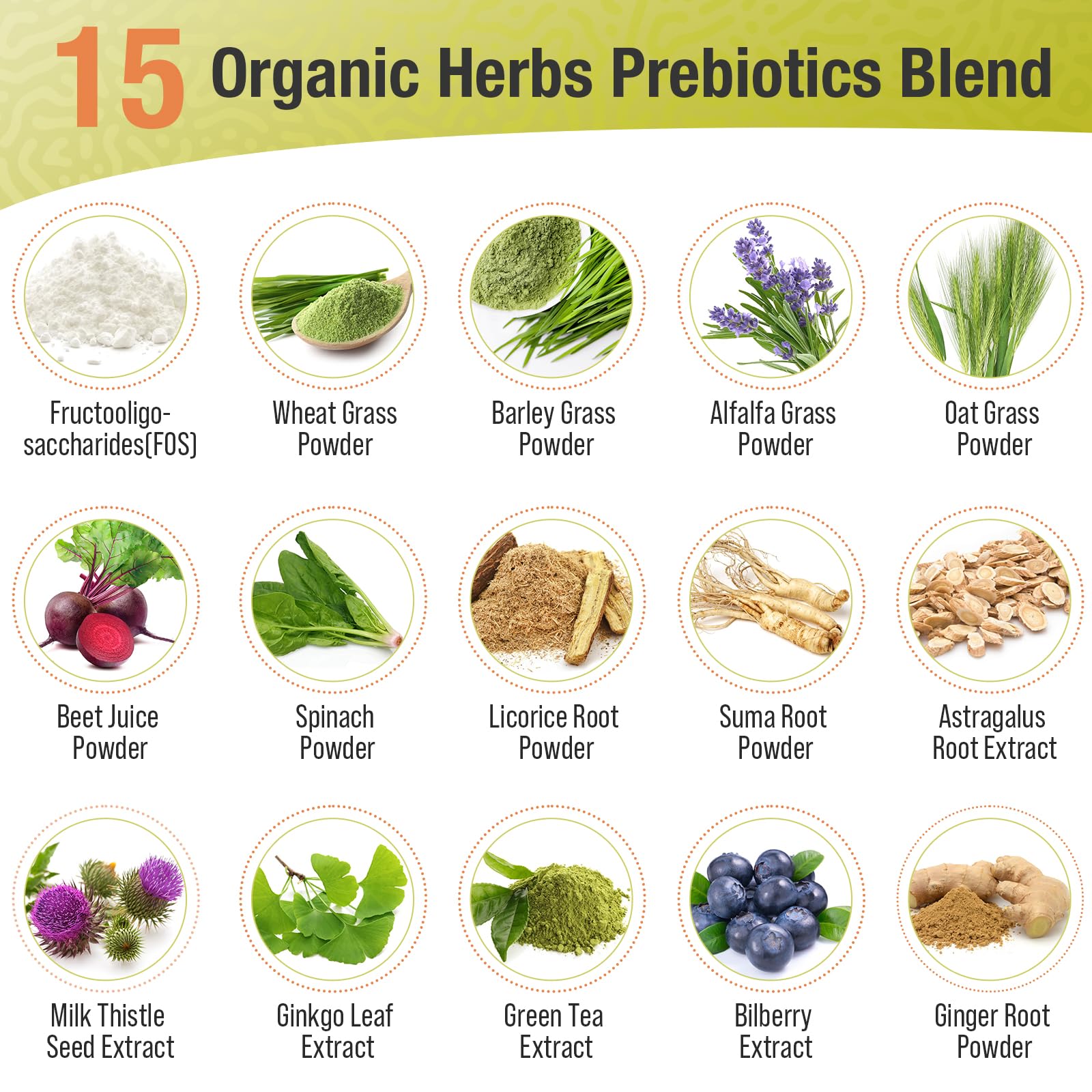 Probiotics for Women & Men - 300 Billion CFU, 24 Strains + 15 Organic Herbs Prebiotics Blend, Daily Probiotic for Digestive Health, Immune, Gut, Bloating - 120 Vegetarian Capsule (120-Days Supply)