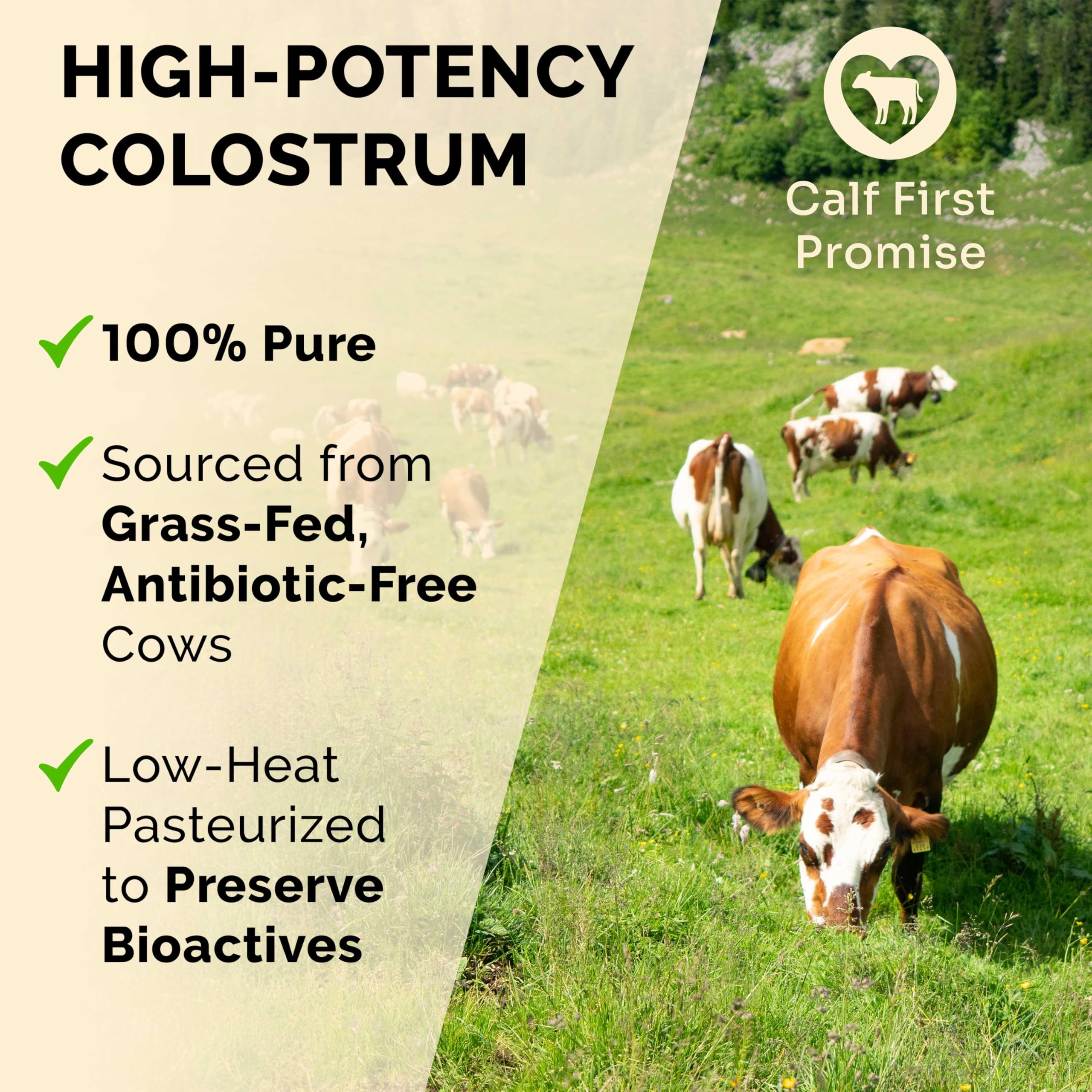 Premium Colostrum Supplement Highest IgG for Gut Health, Immune Support & Recovery Superfood, Anti-Age - Pure Grass-Fed Bovine Colostrum Powder